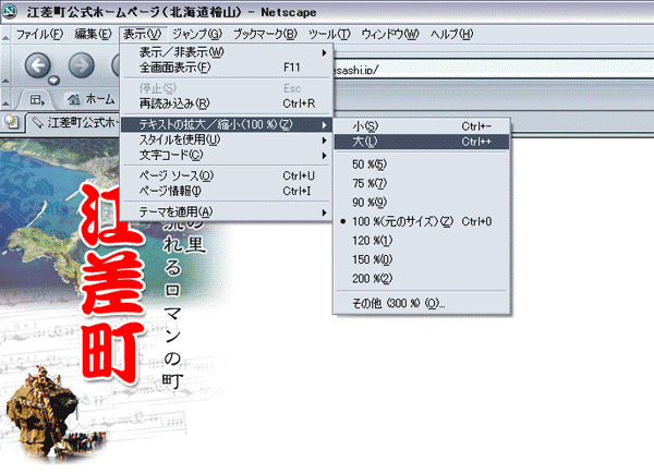 NetscapeilbgXP[vj̏ꍇiWindowsj